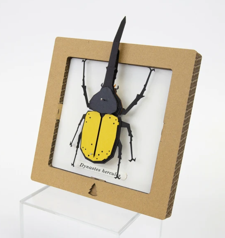 Img